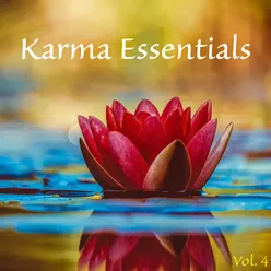 Karma Essentials, Vol. 4