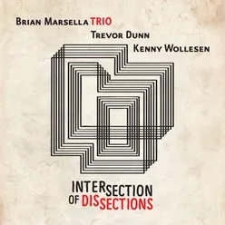 Intersection of Dissections