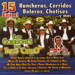 15 Exitos