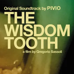 The Wisdom Tooth