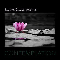 Contemplation-Solo Piano Instrumental