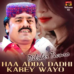 Haa Adda Dadhi Karey Wayo, Vol. 2