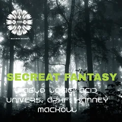 Secreat Fantasy