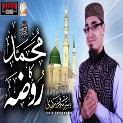 Muhammad Ka Roza Qareeb Arha Hai - Single