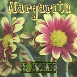 Margarita