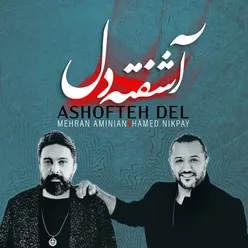 Ashofteh Del