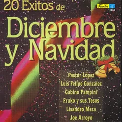 20 Éxitos de Diciembre y Navidad