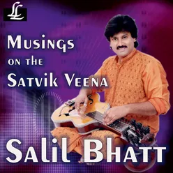 Musings on the Satvik Veena