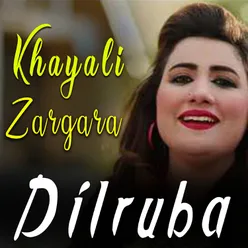 Khayali Zargara - Single