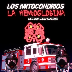 La Hemoglobina