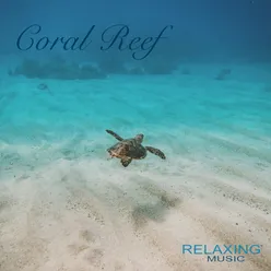 Coral Reef