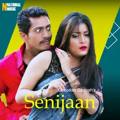 Senijaan - Single