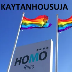 Homoristo