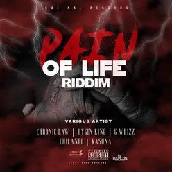 Pain of Life Riddim