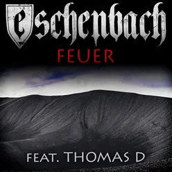 Feuer (feat. Thomas D.)