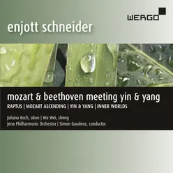 Mozart Ascending (Thoughts About the Unfinished Oboe Concerto KV 293): Adagio “Bitterness of Life”