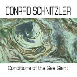(The Southern Hemisphere) Curious Convection Currents of the Gas Giant (I)