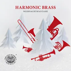 Der Messias, HWV 56 : XI. Denn es ist uns ein Kind geboren-Arr. for Brass Quintet