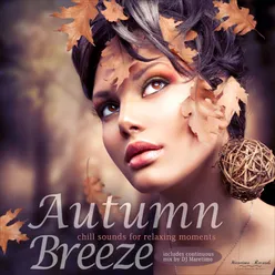 Autumn Breeze, Vol. 1 - Chill Sounds for Relaxing Moments