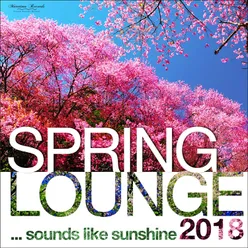 Grounge Lounge-Spring Lounge Mix