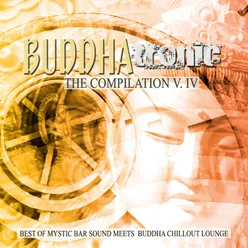 Buddhatronic - the Compilation, Vol. IV (Best of Mystic Bar Sound Meets Buddha Chill out Lounge)