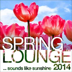 Spring Lounge 2014 (Sounds Like Sunshine)