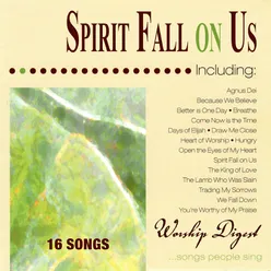 Spirit Fall on Us