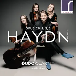 String Quartet in C Major, Op. 20, No. 2, Hob. III:32: II. Capriccio