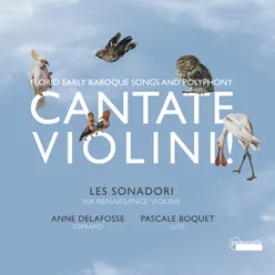 Florid Early Baroque Songs and Polyphony: Cantate Violini