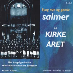 Syng Nye Og Gamle Salmer Til Kirkeåret