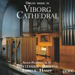 Fryd dig, du Kristi brud, organ chorale