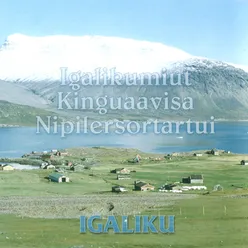 Amooqap Kalattuua