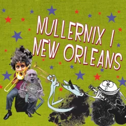 NullerNix i New Orleans