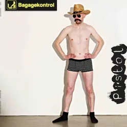 Bagagekontrol