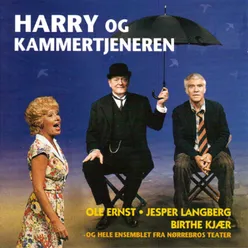 Harry Og Kammertjeneren