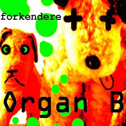Open up the Organs