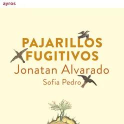 El pajarillo