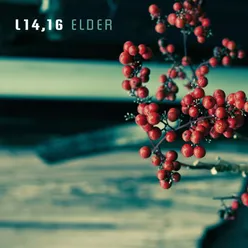 Elder