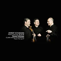 Piano Trio in G Minor, Op. 17: Allegretto