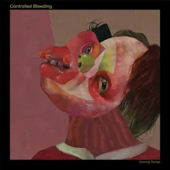 Carving Song-Zeitkratzer Remix