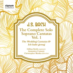 Cantata "Ich habe genug", BWV 82a: II. Recitative - Ich habe genug