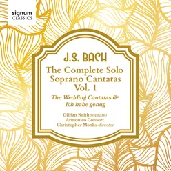 Cantata "Weichet nur, betrübte Schatten", BWV 202: V. Aria - Wenn die Frühlingslüfte streichen