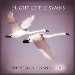 Flight of the Swans (Live)