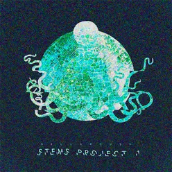 Stems Project I
