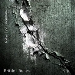 Brittle Bones-Synq Remix