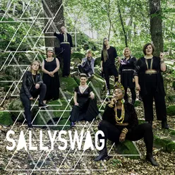 Sallyswag