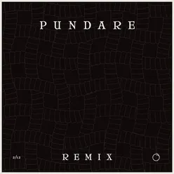 Pundare-Anthon Johansson Dope Remix