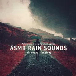 Rain Sounds: Wind and Rain