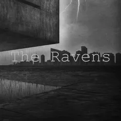 The Ravens