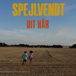 Dit Hår